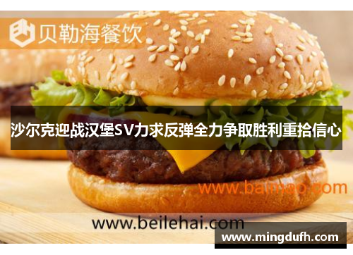 沙尔克迎战汉堡SV力求反弹全力争取胜利重拾信心